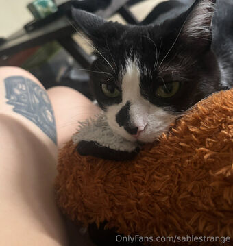 sablestrange Foto Nude Leaked OnlyFans 1