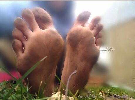 scentofasilkytoe