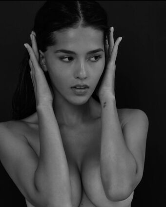 Schassi