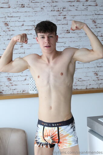 sean4mendes