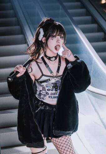 shiliuyelei