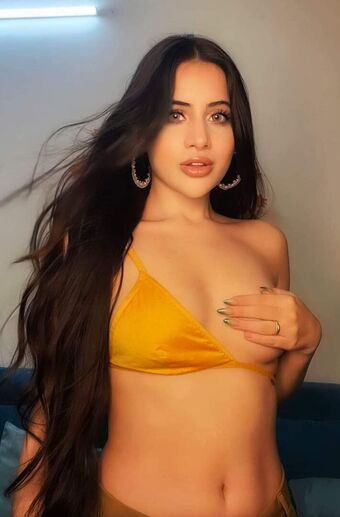 sofiaansari Foto Nude Leaked OnlyFans 8