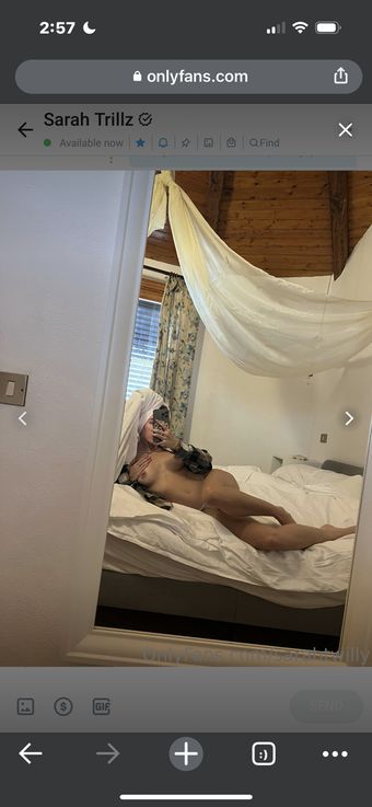 Stacyxgray