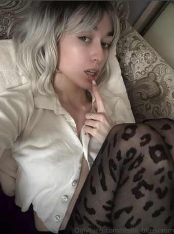 Stella_blossomm