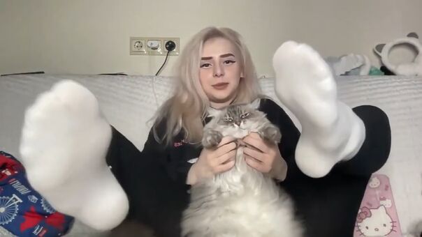 Sveta Sollar