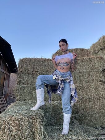 Taylor White