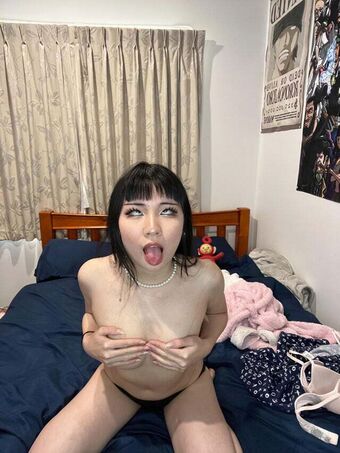teddysucc