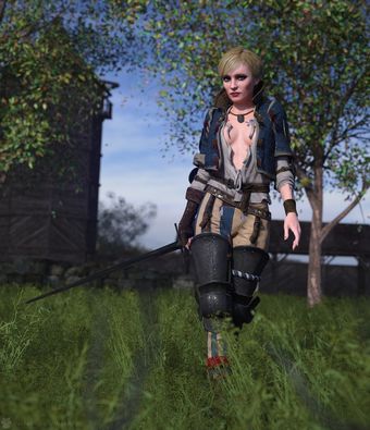 The-witcher