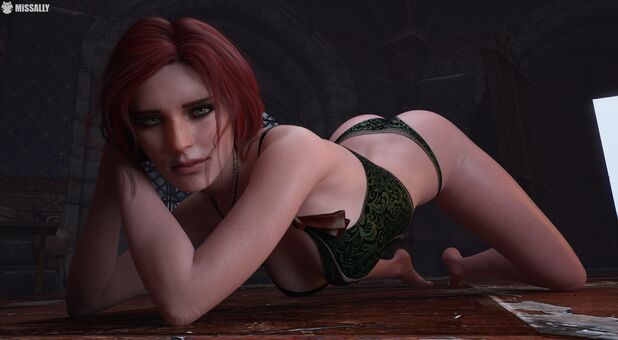 The-witcher