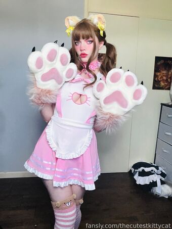 thecutestkittycat