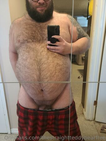 thestraightteddybearfree