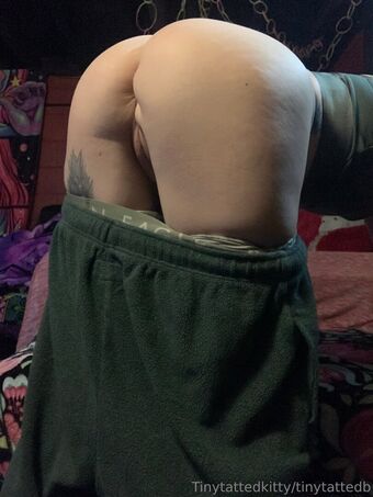 tinytattedkitty Foto Nude Leaked OnlyFans 19