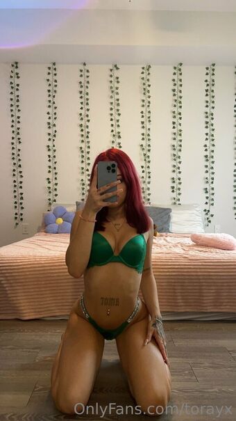 Torayx Foto Nude Leaked OnlyFans 38