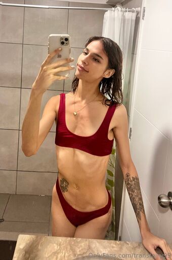 transfairy99