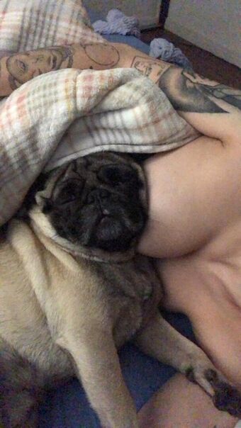 Trizpac Foto Nude Leaked OnlyFans 65