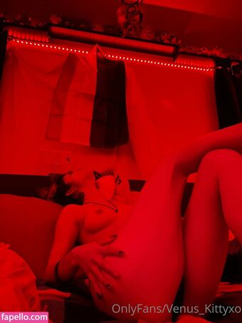Venus-kitty Foto Nude Leaked OnlyFans 38