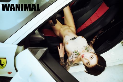 Wanimal Models