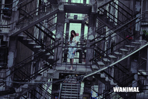 Wanimal Models Foto Nude Leaked OnlyFans 377