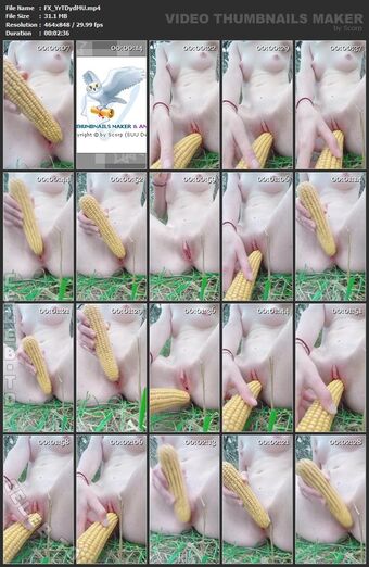 Whitebunny Foto Nude Leaked OnlyFans 29