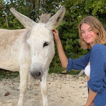 Willow Hand