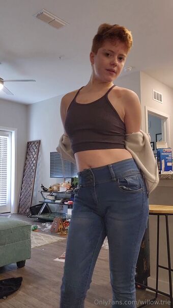 Willow Trie