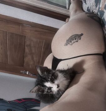 Yasmim Cat